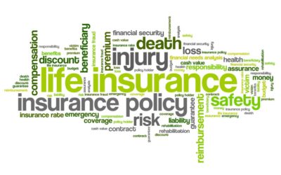 Are you a term-ite? Reasons why to buy Term Life Insurance